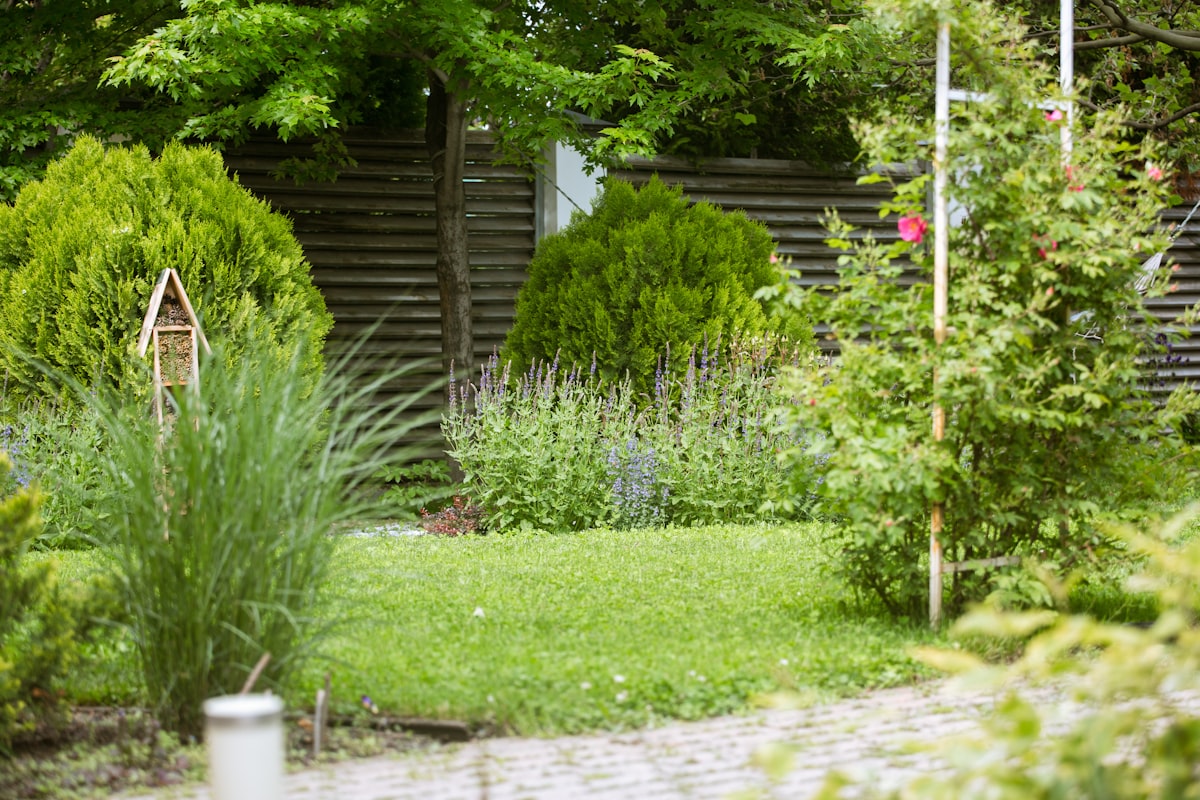 A green garden with a stone path and a birdhouse